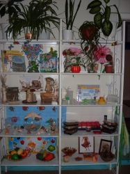 Уголок природы, экспериментирования.