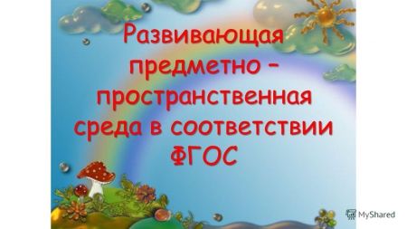 Организация предметно-развивающей среды