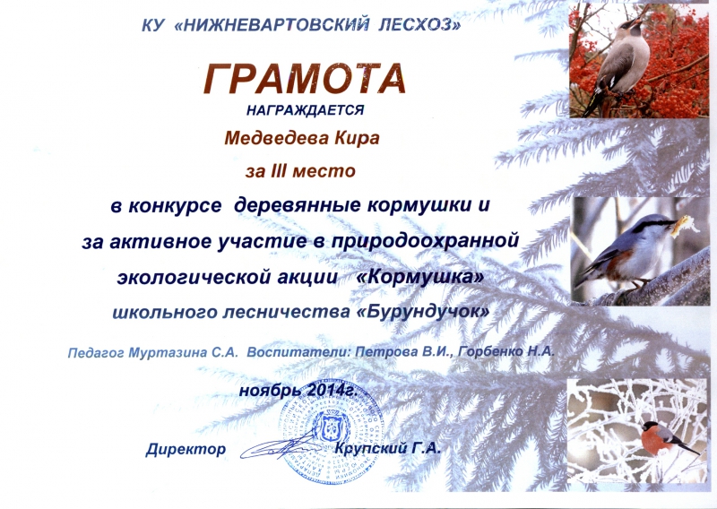 Грамота на конкурс кормушки Грамота на конкурс кормушки