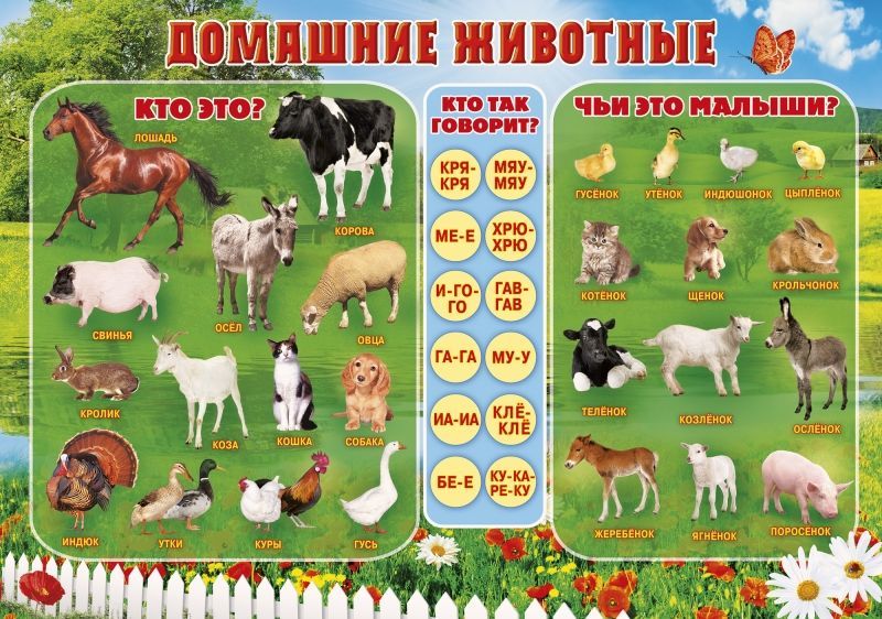Плакаты для детей на день рождения своими руками Плакаты для детей на