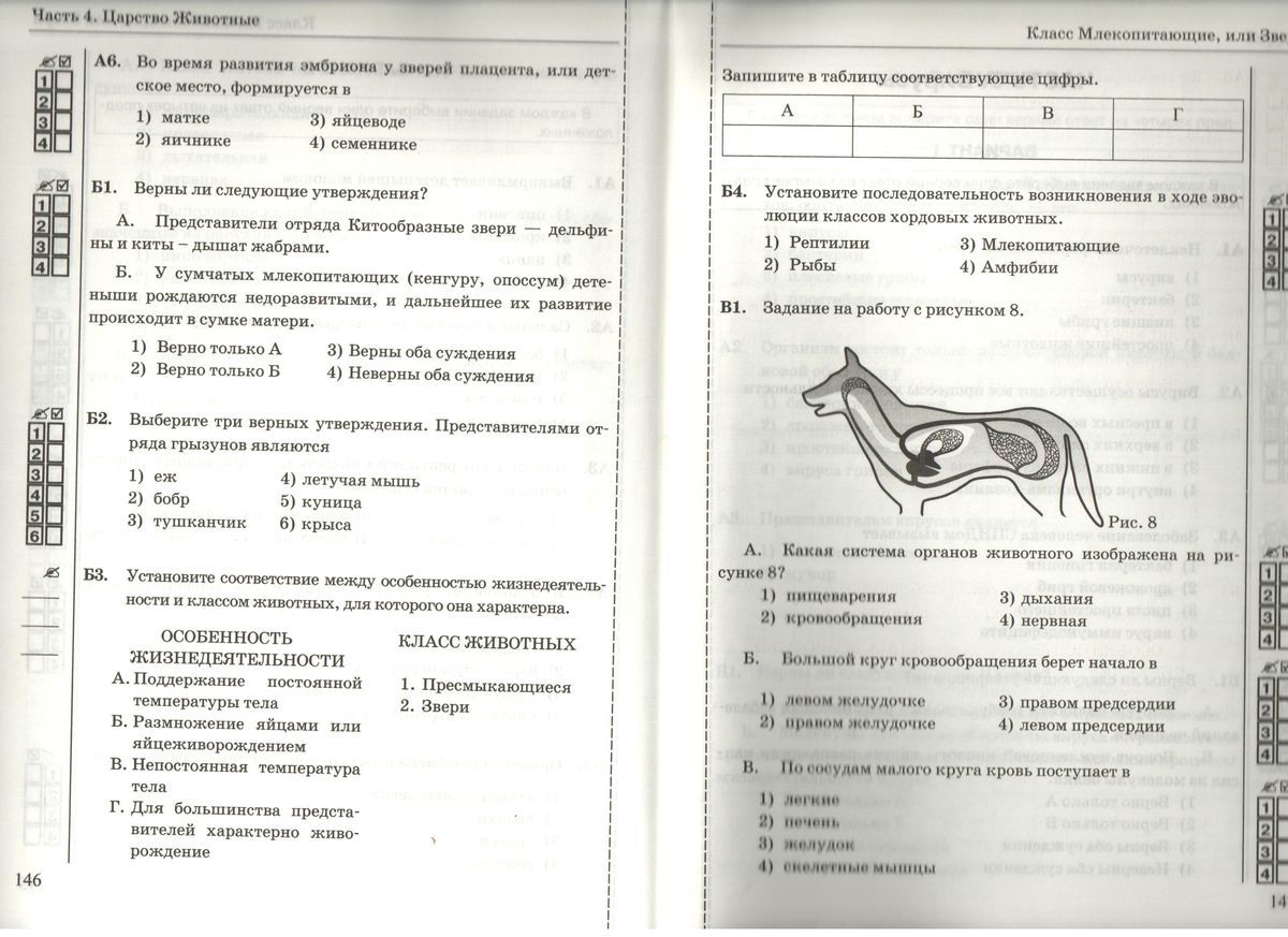 Промежуточная годовая аттестация обучающихся