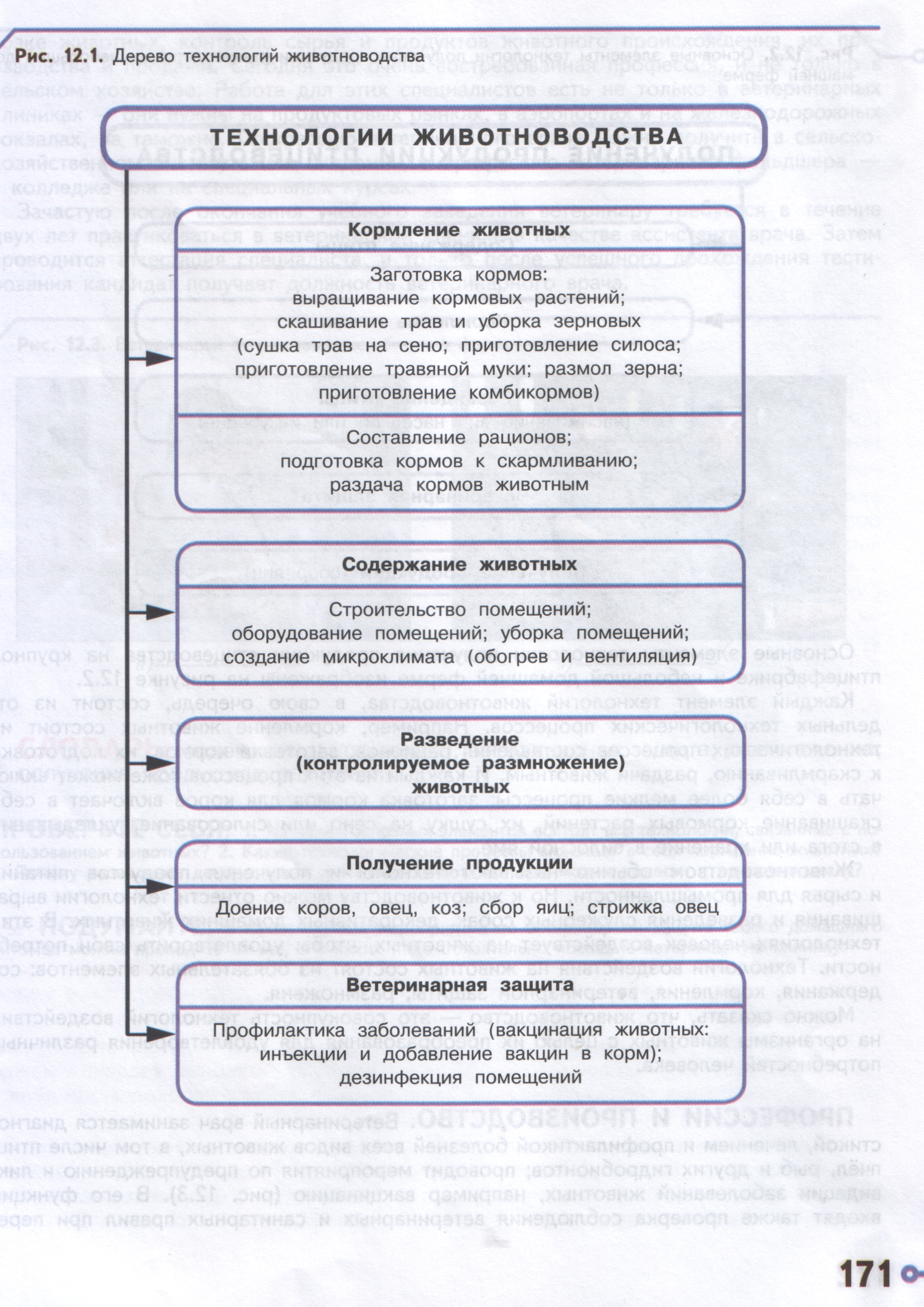 Технологическая карта животноводство