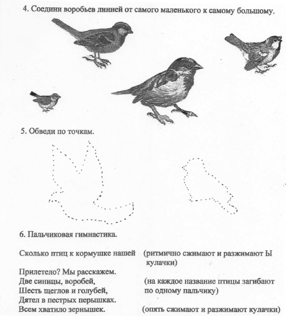 Тест по теме птицы презентация