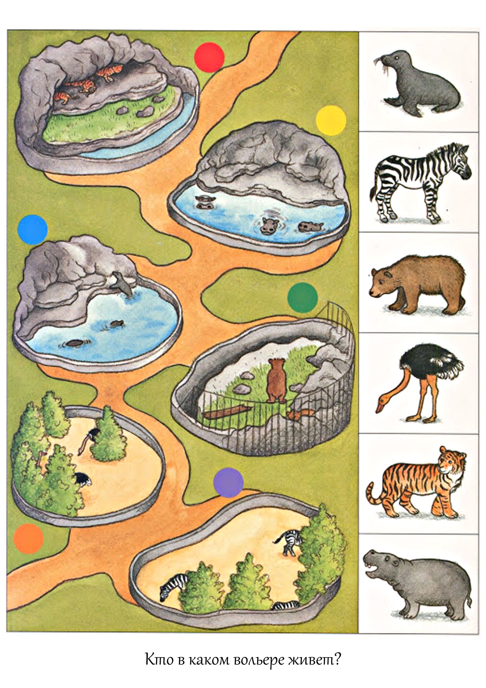 Задания для детей о животных в зоопарке