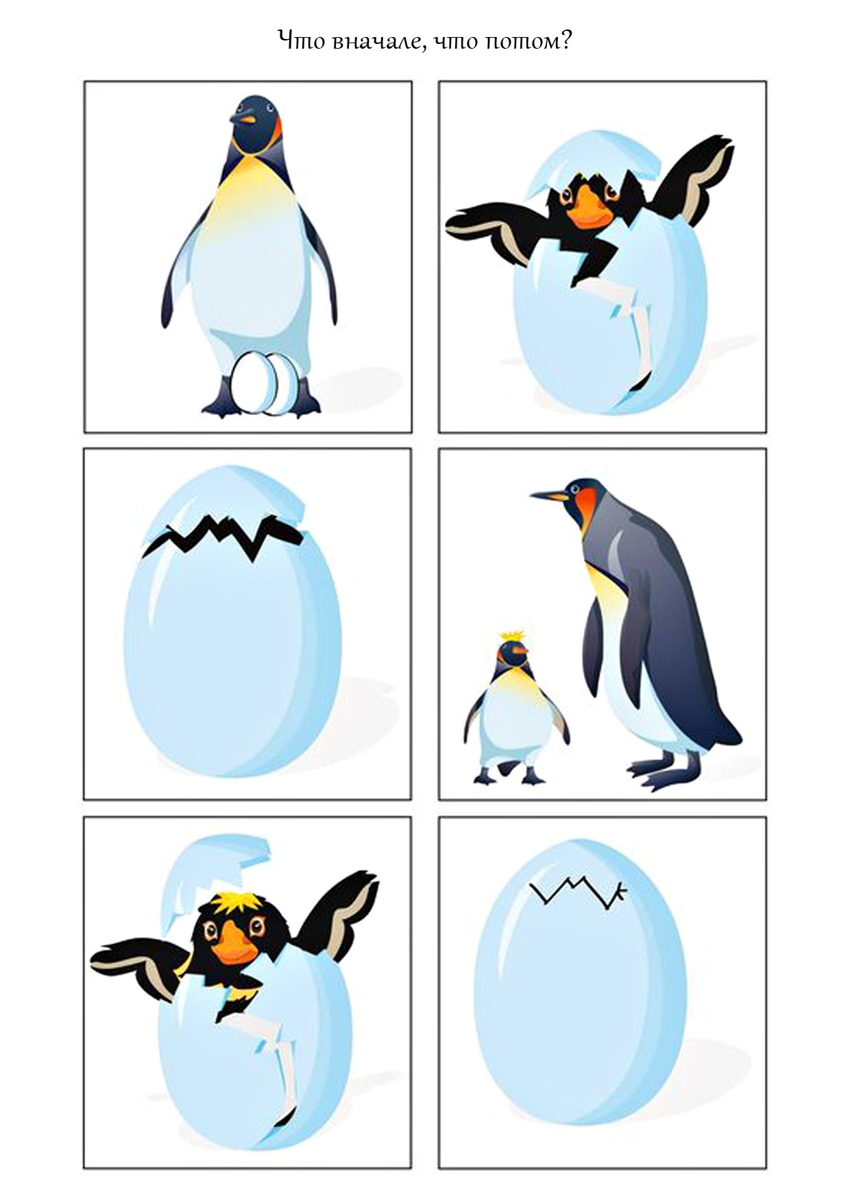 Занятие про пингвинов. Животные Арктики и Антарктики задания. Задания с пингвинами для дошкольников. Задания для дошкольников животные Сеера. Животные севера задания для дошкольников.