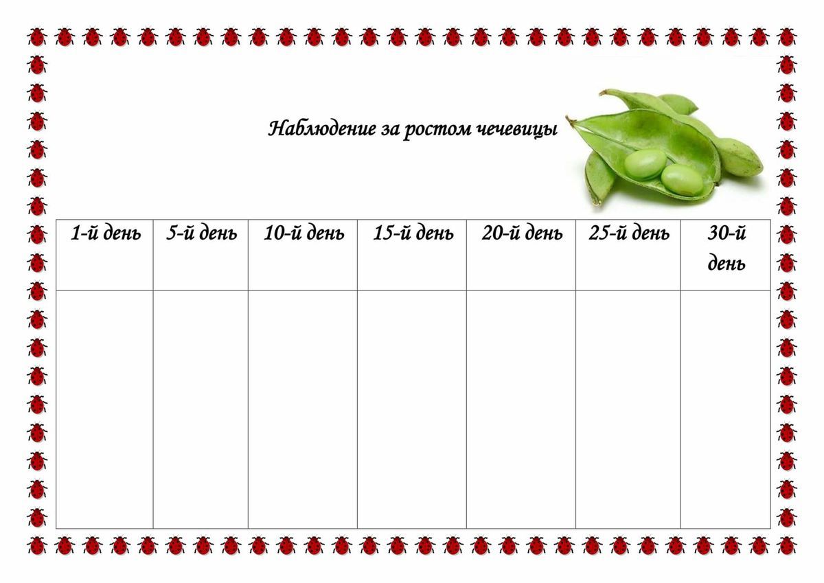 Календарь наблюдений за ростом лука в детском саду таблица