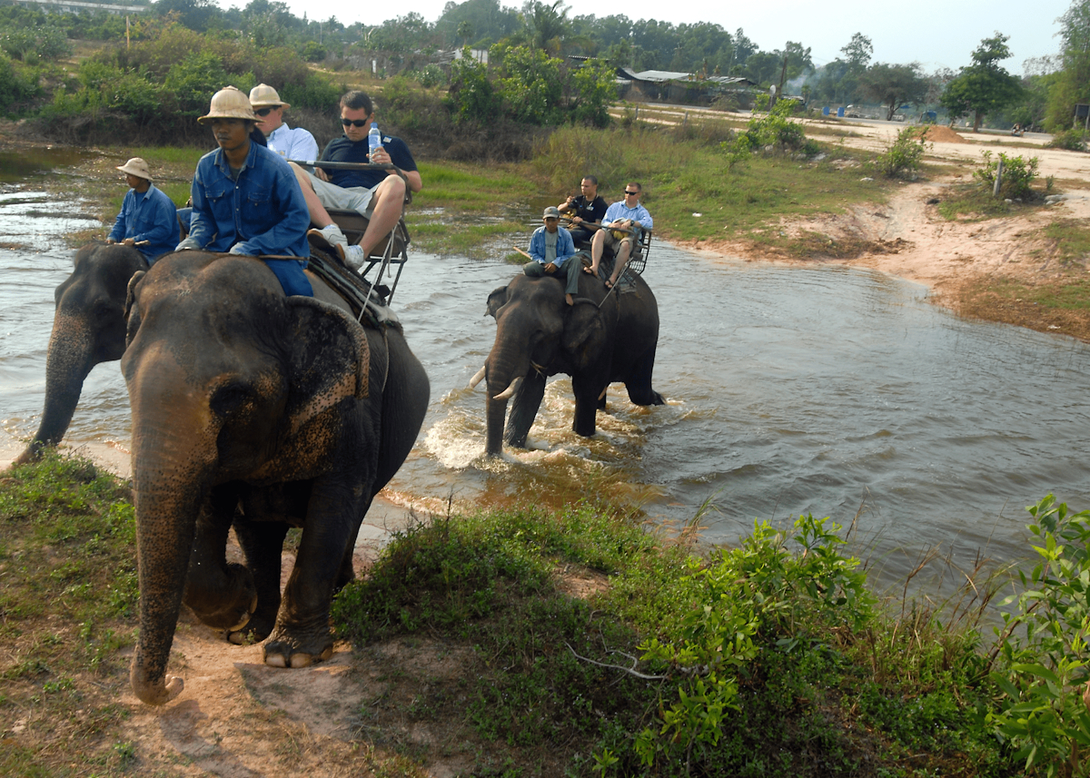 Катание на слонах в Паттайе