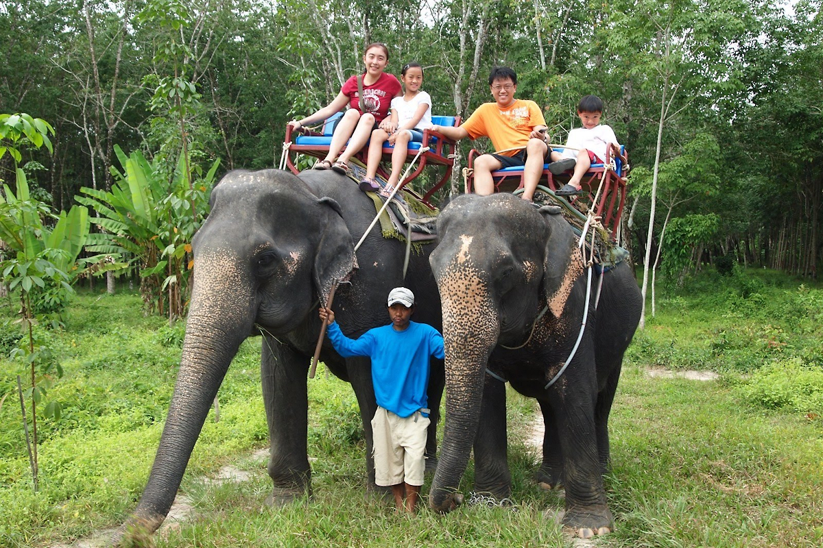 Катание на слонах в Паттайе