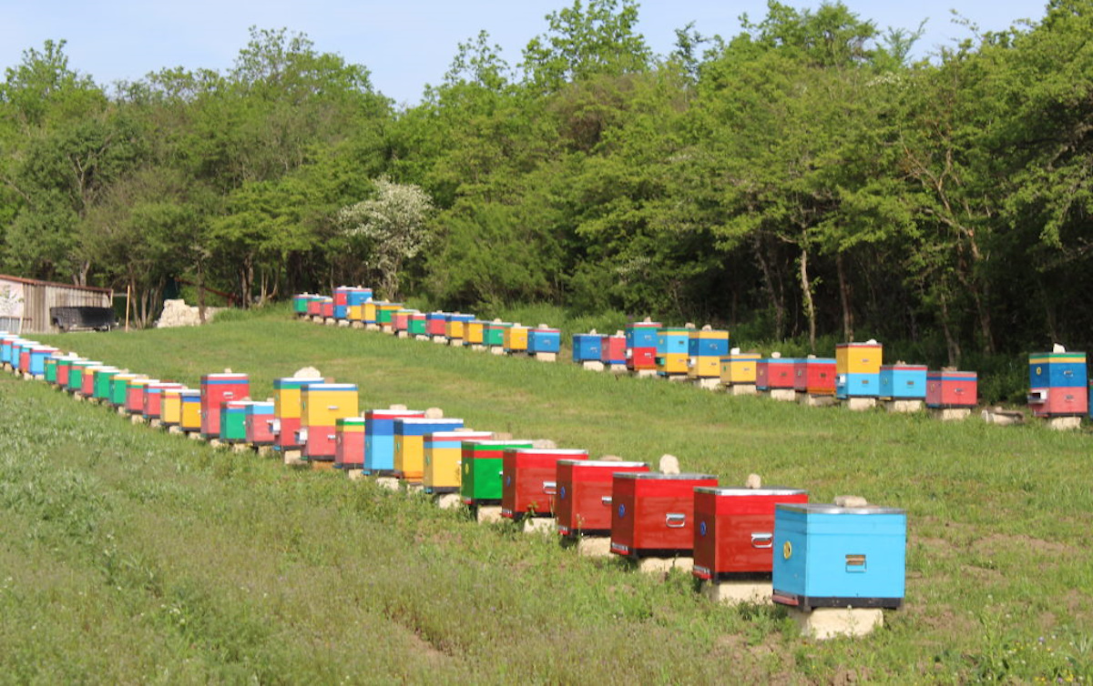 Крымский мёд