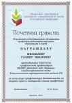 Грамота от Профсоюза работников народного образования и науки РФ