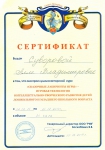 Сертификат о прослушанном авторском курсе "Сказочные лабиринты игры"