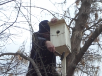 Скворечники