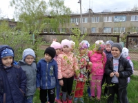 акция "Посади дерево"
