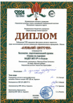 Диплом победителя XVIII городского фестиваля детского творчества среди воспитанников детских дошкольных образовательных  учреждений города Мыски в номинации " За лучший народный номер"