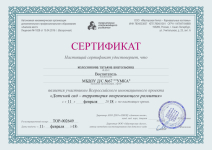 Сертификат участника Всероссийского инновационного проекта 