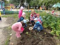 Работа в разгаре