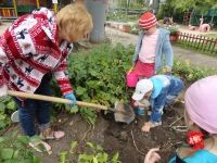 Не успеваю выкапывать