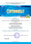 Сертификат участника 2017
