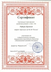 Сертификат Рубцова Арсения