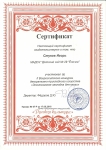 Сертификат Стукова Игоря