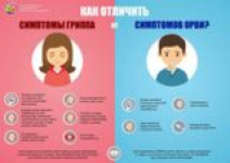 Памятки по профилактике Гриппа и ОРВИ (Декабрь 23г)