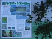 Правила поведения в природе.