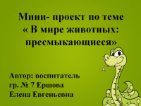Проект