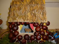 Семья Зибровой Сони