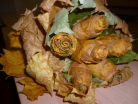 Семья Чертковой Сони