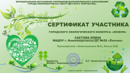 Сертификат участника в городском экологическом конкурсе "Экобум", 2025