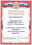 Грамота участника в областном конкурсе " Безопасная елочная игрушка"