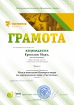 Международный конкурс