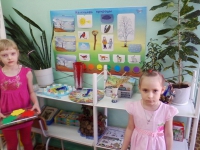 Уголок природы.