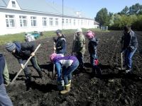 ВЕСЕННИЕ  РАБОТЫ НА ПРИШКОЛЬНОМ УЧАСТКЕ