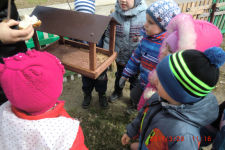 Участие в акции по охране птиц