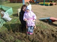 посадка кустарников с родителями