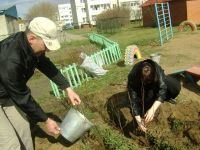 садим кустарники на участке вместе с родителями