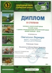 Диплом лауреата III степени "Марш парков - 2019"