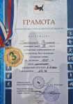 Ледовые гонки. Панченко Роман
