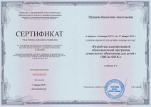 Сертификат участника онлайн семинара.