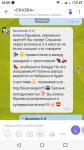 После создания видеозанятия по проведению утренней зарядки и музыкальной игры