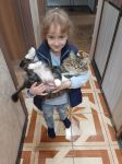 Домашние животные так давно являются неотъемлемой частью нашей жизни, что сложно представить себе времена, когда наша дружба только зарождалась. Кошки стали жить в человеческих домах примерно в 3600 г. до н. э., а собаки прониклись к нам симпатией еще 30 000 лет назад. Но, несмотря на все эти минувшие тысячелетия, мы ежедневно продолжаем открывать о наших четвероногих друзьях что-то новое. Про своих любимых домашних животных и поделись информацией на занятии дети старшей группы от 6 лет до конца образовательных отношений. Показывали фото с питомцем и рассказывали любимые привычки своих любимцев, а также каким образом они ведут уход за ними. После чего составили коллаж из фотографий. Занятие прошло очень познавательно и весело. У детей было отличное настроение.