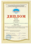 2011 год