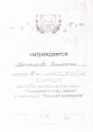 2013 год