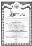 2013 год