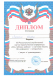 2011 год