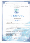 2011 год