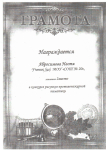 2009 год