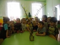 наблюдаем за веточками тополя