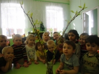 наблюдаем за веточками тополя